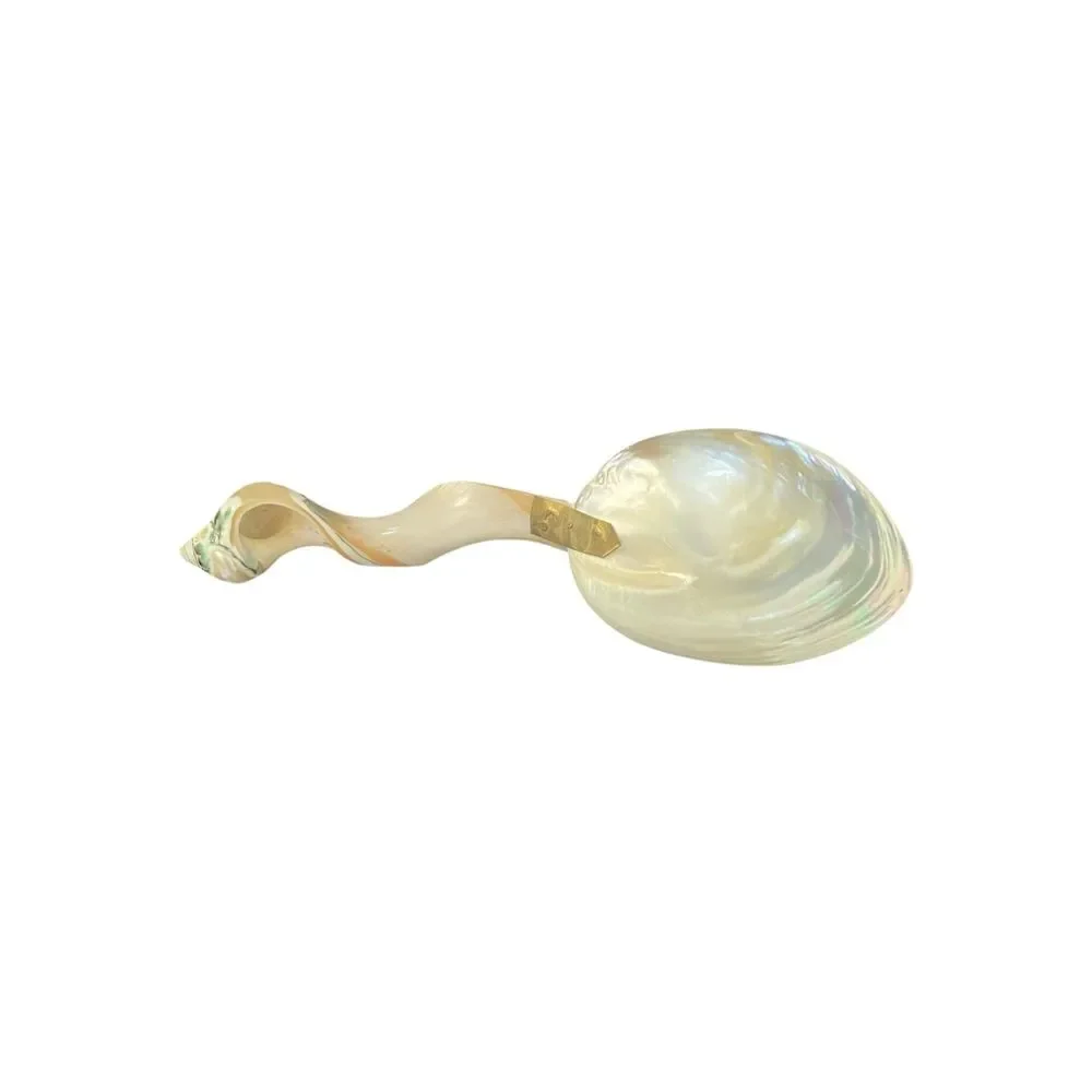 Vintage Mother of Pearl Seashell Caviar Serving Spoon Conch Hollywood Regency